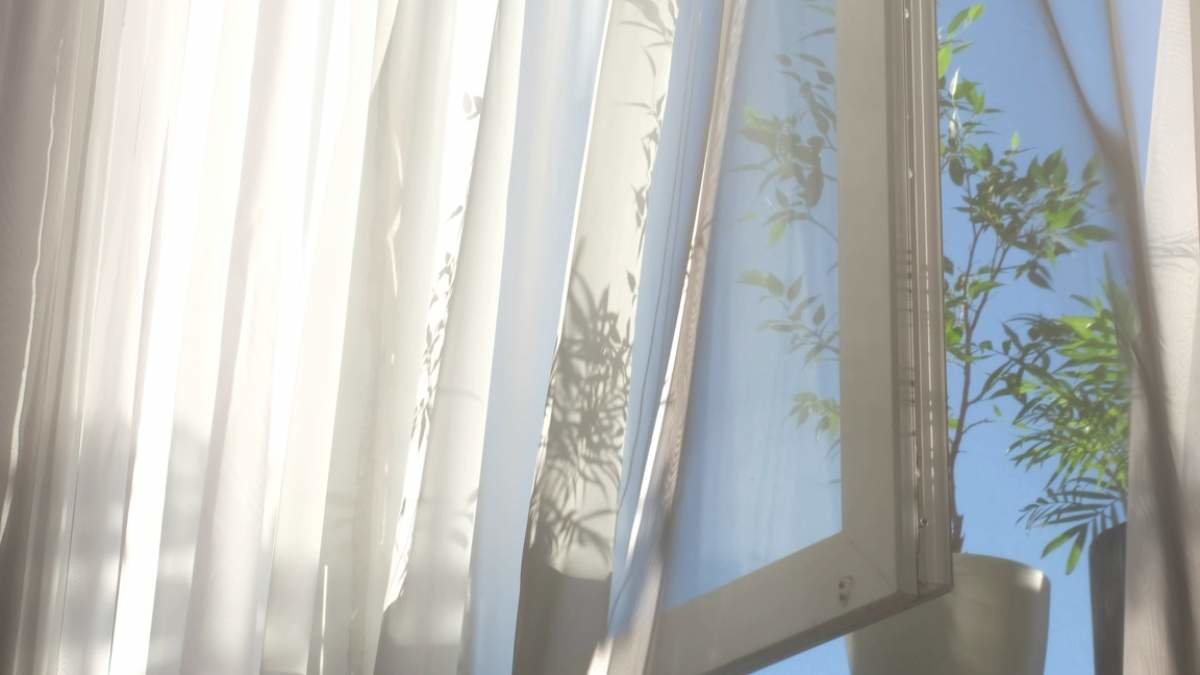 transparent curtain on the window, gently moved by the wind. sunlight. sun's rays shine through the transparent tulle.
