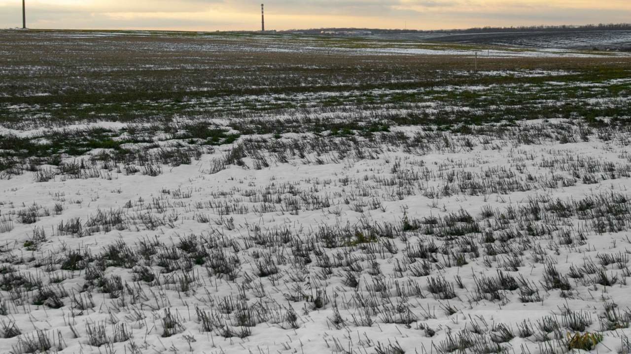 Las asociaciones piden al Gobierno el refuerzo de los seguros agrarios que pagan los autónomos del campo.