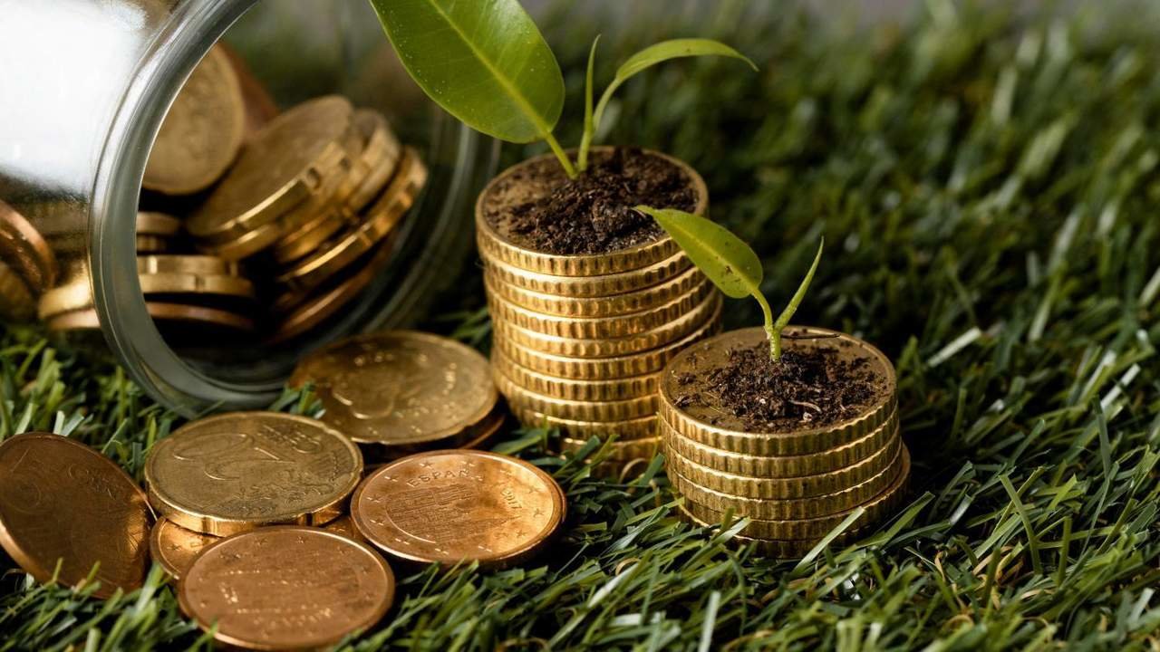 Los autónomos soportan la carga fiscal de los nuevos "impuestos verdes", afirman los economistas.