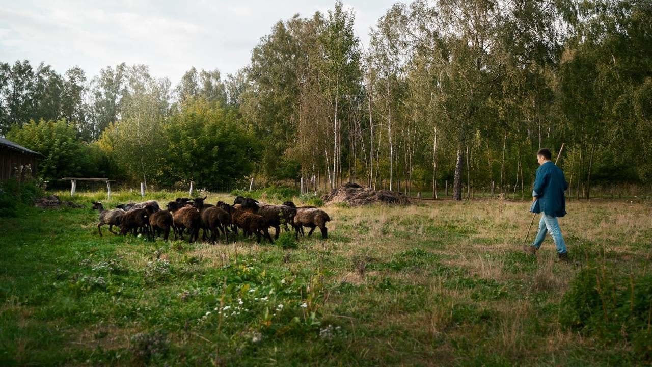 Una nueva plataforma ayudará a los autónomos ganaderos a seleccionar sus pastos en cada momento del año.