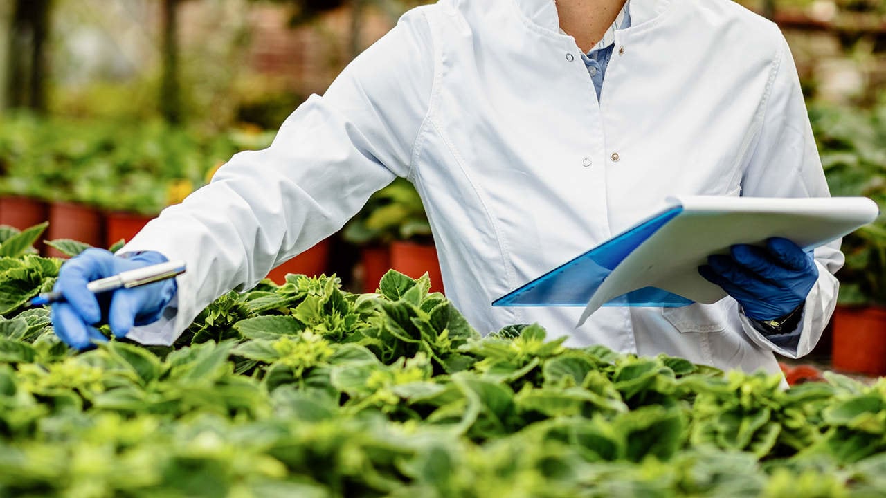 La Rioja financiará con 2,4 millones proyectos de I+D+i que beneficien a los agricultores y pequeños negocios del campo.